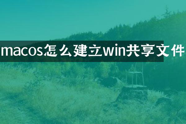 macos怎么建立win共享文件