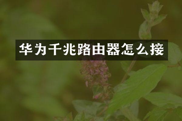 华为千兆路由器怎么接