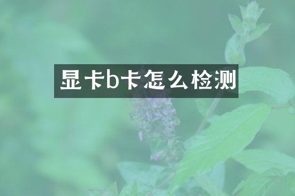 显卡b卡怎么检测