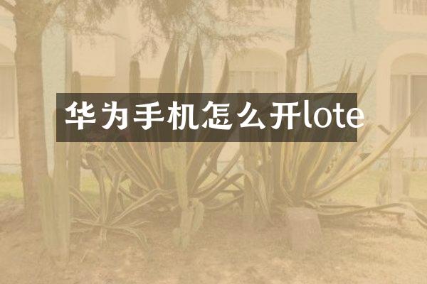 华为手机怎么开lote