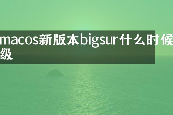 macos新版本bigsur什么时候升级