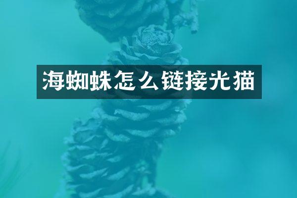 海蜘蛛怎么链接光猫