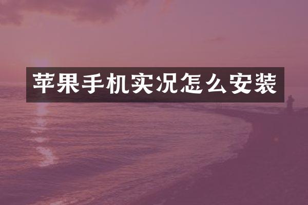 苹果手机实况怎么安装