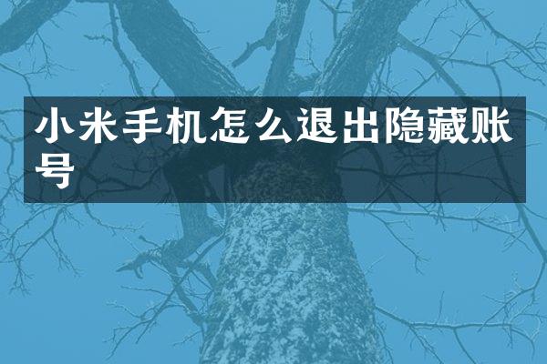 小米手机怎么退出隐藏账号