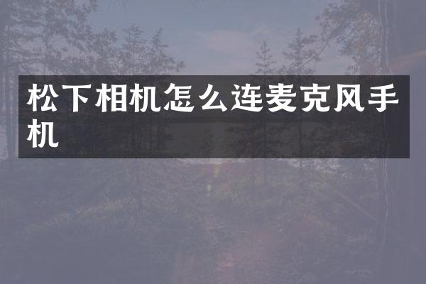 松下相机怎么连麦克风手机