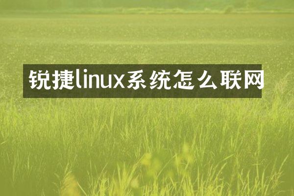 锐捷linux系统怎么联网