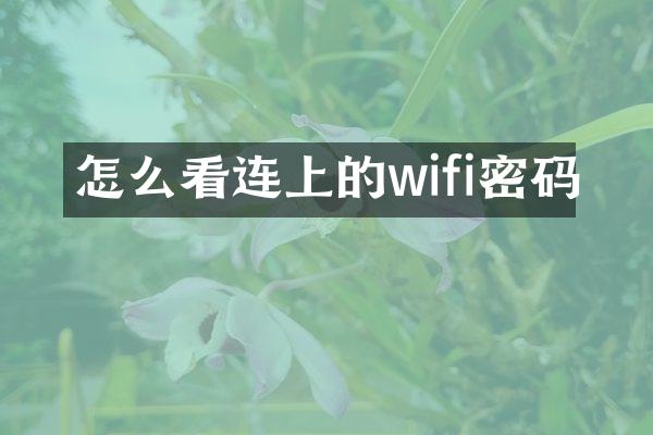 怎么看连上的wifi密码