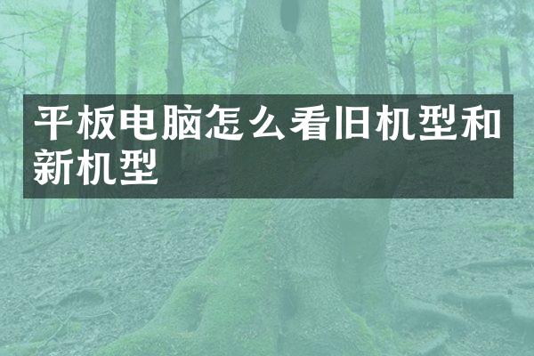 平板电脑怎么看旧机型和新机型