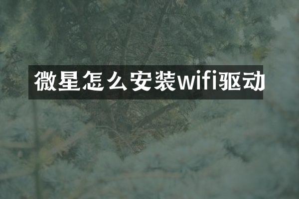 微星怎么安装wifi驱动