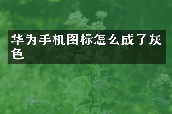 华为手机图标怎么成了灰色