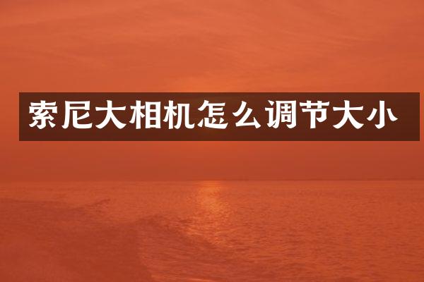 索尼大相机怎么调节大小