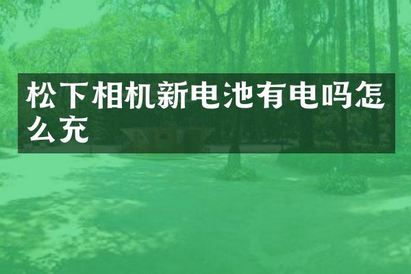 松下相机新电池有电吗怎么充