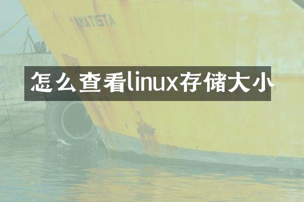 怎么查看linux存储大小
