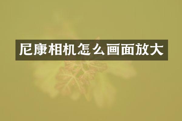 尼康相机怎么画面放大