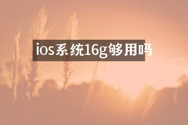 ios系统16g够用吗