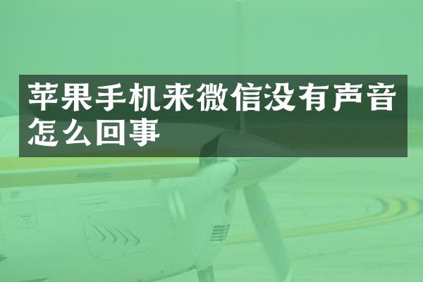 苹果手机来微信没有声音怎么回事