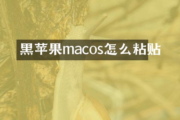 黑苹果macos怎么粘贴
