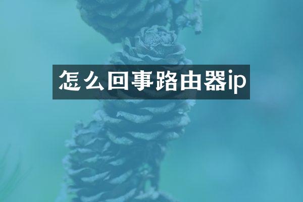 怎么回事路由器ip