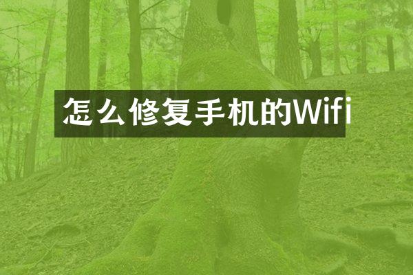 怎么修复手机的Wifi