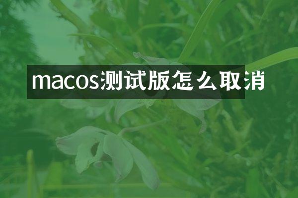 macos测试版怎么取消