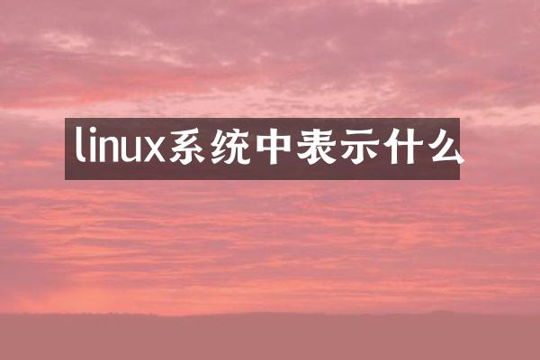 linux系统中表示什么