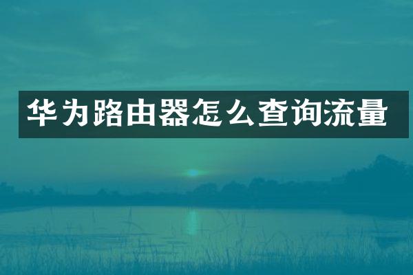 华为路由器怎么查询流量