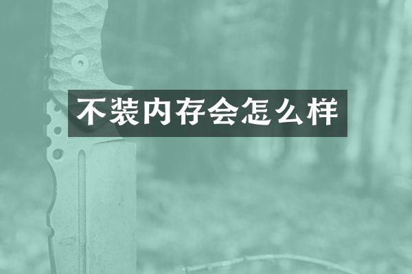 不装内存会怎么样