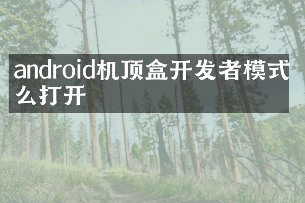 android机顶盒开发者模式怎么打开