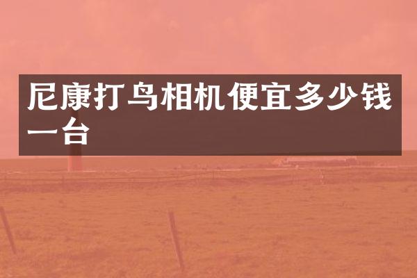 尼康打鸟相机便宜多少钱一台