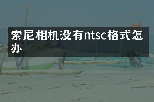 索尼相机没有ntsc格式怎么办