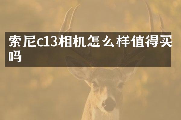 索尼c13相机怎么样值得买吗