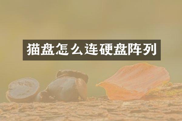 猫盘怎么连硬盘阵列
