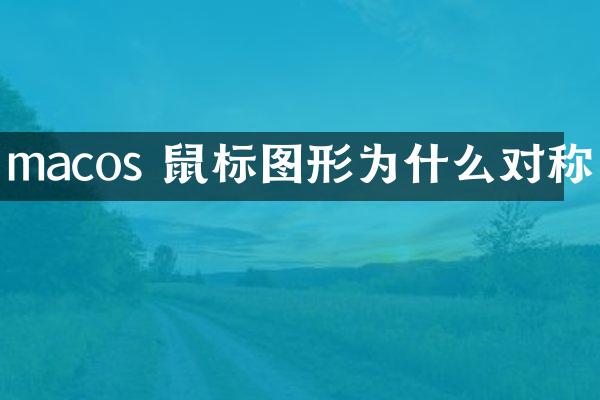 macos 鼠标图形为什么对称
