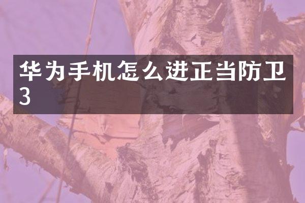 华为手机怎么进正当防卫3