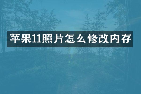 苹果11照片怎么修改内存