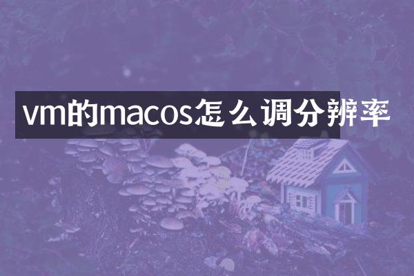 vm的macos怎么调分辨率