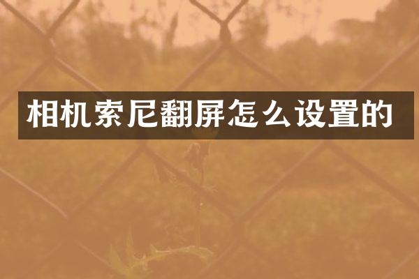 相机索尼翻屏怎么设置的