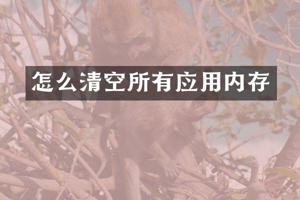 怎么清空所有应用内存