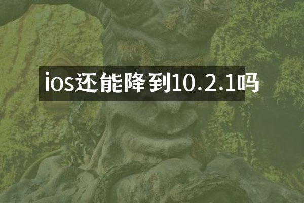 ios还能降到10.2.1吗
