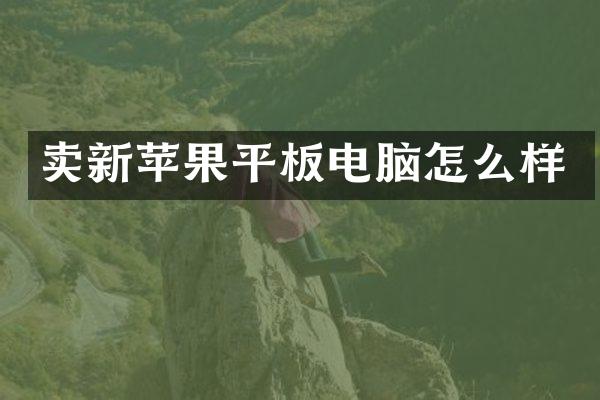卖新苹果平板电脑怎么样