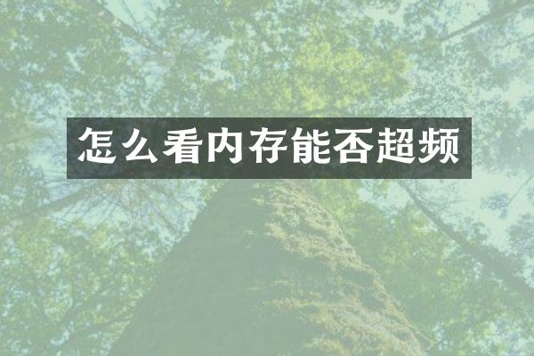 怎么看内存能否超频