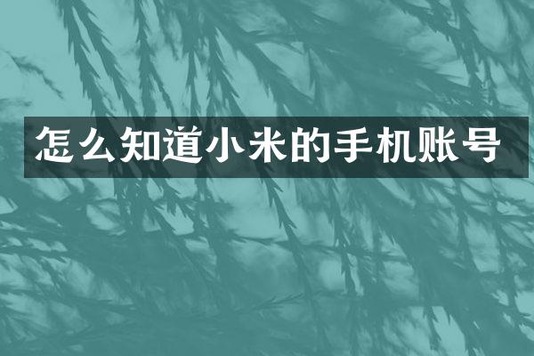 怎么知道小米的手机账号