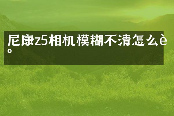 尼康z5相机模糊不清怎么调