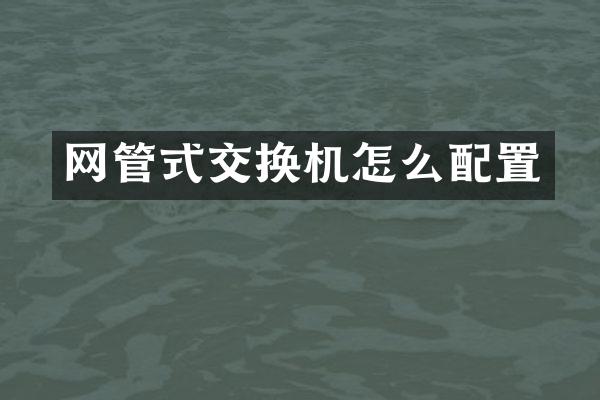 网管式交换机怎么配置
