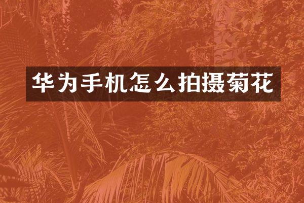 华为手机怎么拍摄菊花