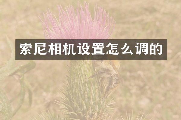 索尼相机设置怎么调的