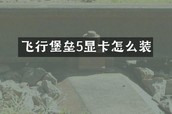 飞行堡垒5显卡怎么装