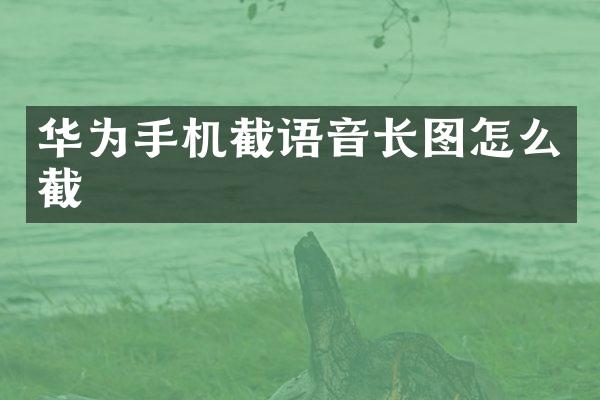 华为手机截语音长图怎么截