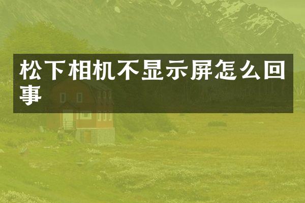 松下相机不显示屏怎么回事