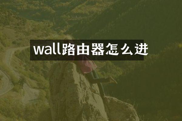 wall路由器怎么进